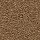 Mohawk Carpet: Noteworthy Selection Caramel Ripple